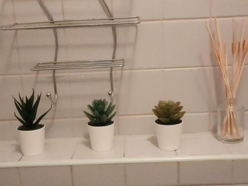 Apartment Evala