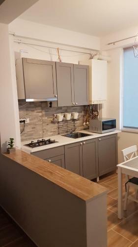 Apartament Adi Navodari