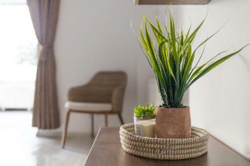 Garden Vibes Apartament