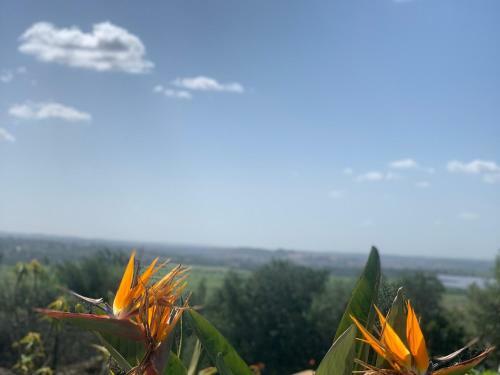 Bed & Breakfast Villa Tranberg