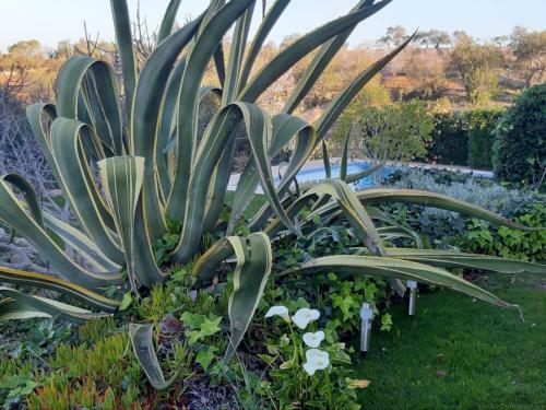 Bed & Breakfast Villa Tranberg