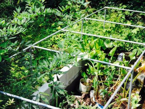 Hostal Kumamoto Farm Stay - Vacation Stay 12032v