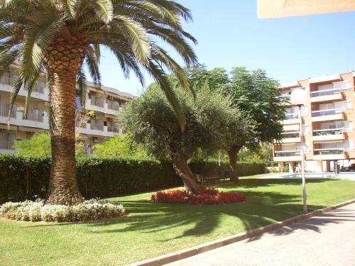 Apartamento Vilafortuny