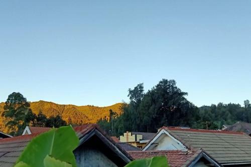 Homestay Mbak Sulis Bromo