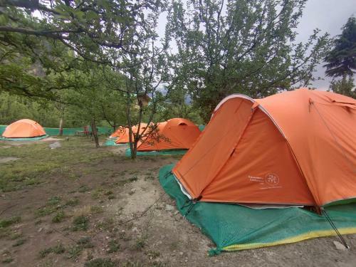 Solang Valley Camp