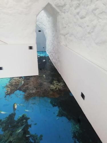 B&B Il Trullo