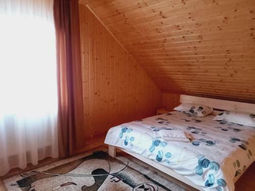 Cabana Belvedere Dragoslavele