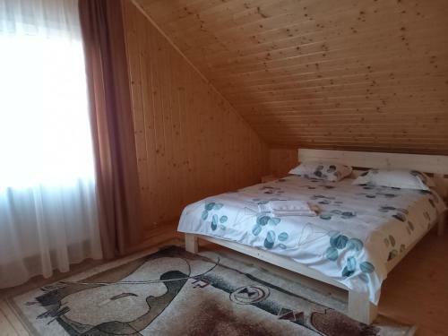 Cabana Belvedere Dragoslavele