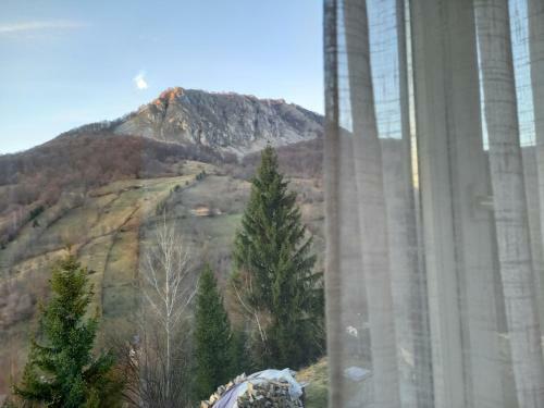 Cabana Belvedere Dragoslavele