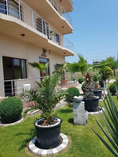 Hostal Casa Andu