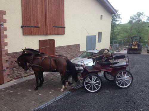 Hostal Schafhof-sommerau