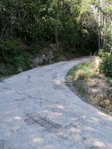 Cortona Casale Immerso Nella Natura