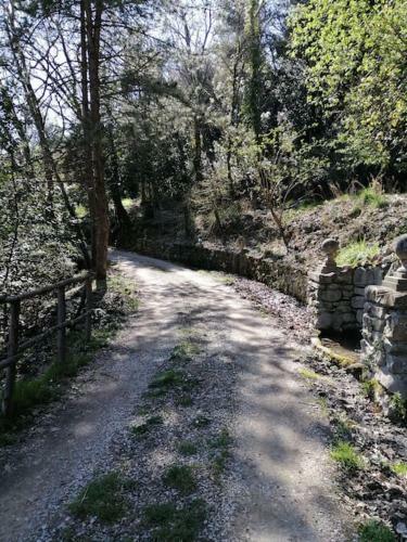 Cortona Casale Immerso Nella Natura