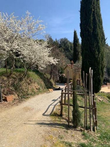 Cortona Casale Immerso Nella Natura