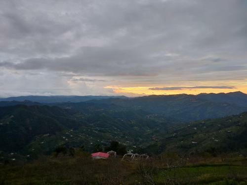 Hilltop Retreat Mukteshwar Homestay