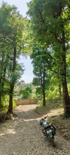 Hilltop Retreat Mukteshwar Homestay