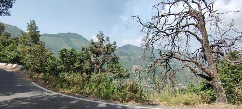 Hilltop Retreat Mukteshwar Homestay