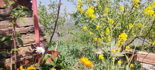 Hilltop Retreat Mukteshwar Homestay