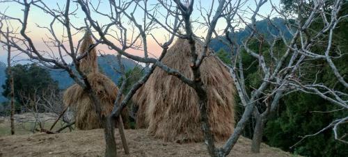Hilltop Retreat Mukteshwar Homestay