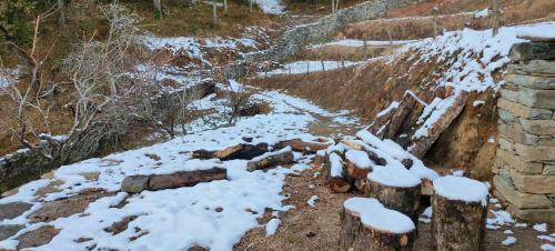 Hilltop Retreat Mukteshwar Homestay