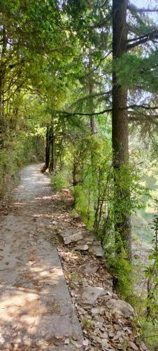 Hilltop Retreat Mukteshwar Homestay