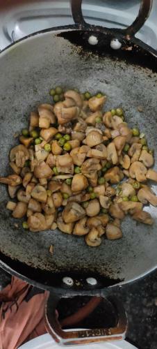 Hilltop Retreat Mukteshwar Homestay