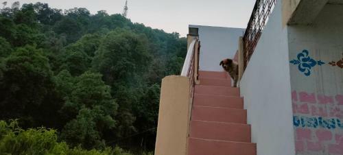 Hilltop Retreat Mukteshwar Homestay