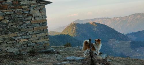 Hilltop Retreat Mukteshwar Homestay