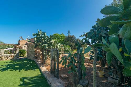 Villa Son Bosqu�