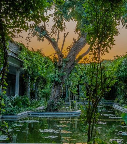 Hotel King's Abode Ranakpur