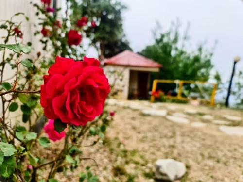 Hotel The Kanatal Arbour