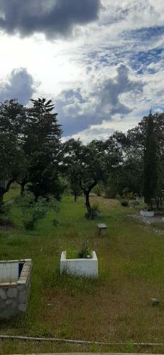 Campoamor