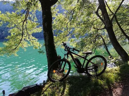 Apartamento Appartamento Levico Lake