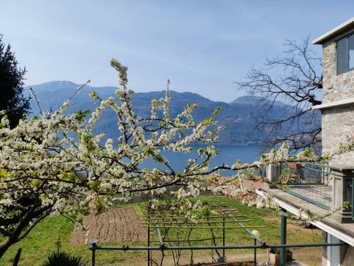 La Casetta Nel Bosco