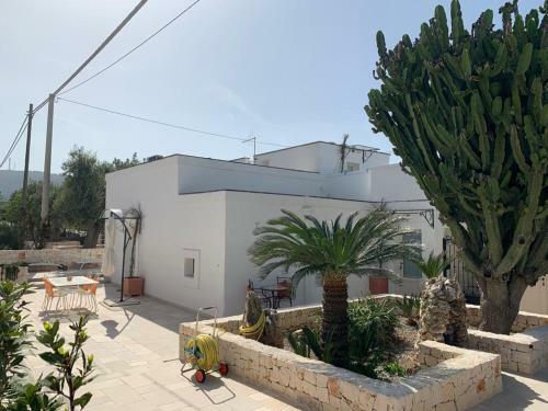 A Casa Di Antonia