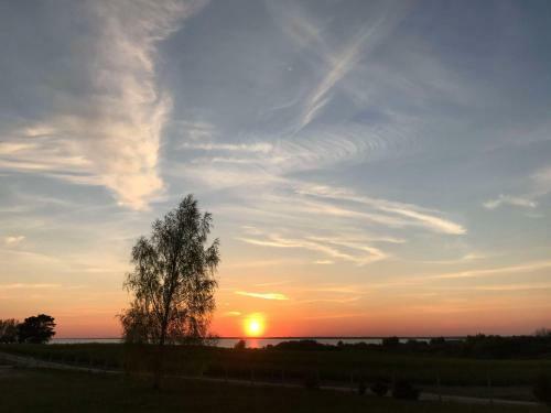 Domek Letniskowy Na Dzikiej