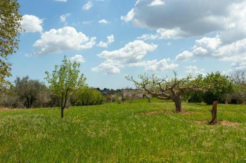 Trulli Da Rosy