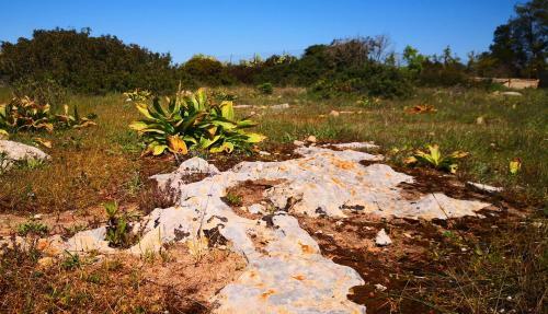 Villa Rustica Al Mare