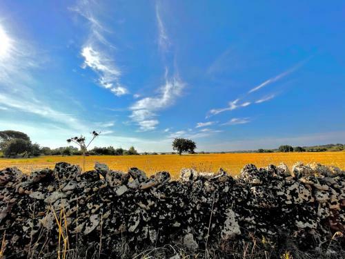 Centopassi Noto B&B