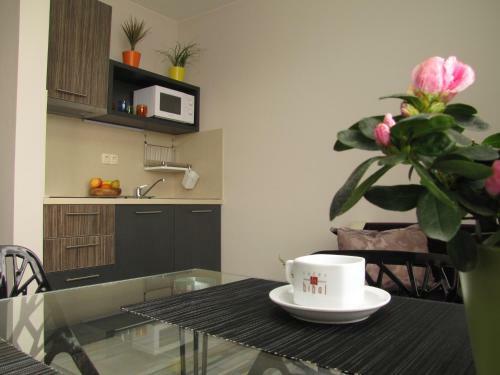 Apart Hotel Hello Hissar
