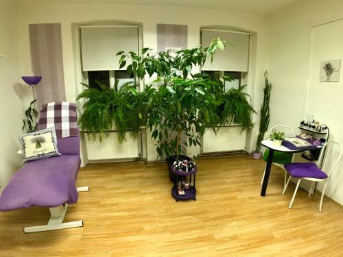 Beauty-spa Apartment