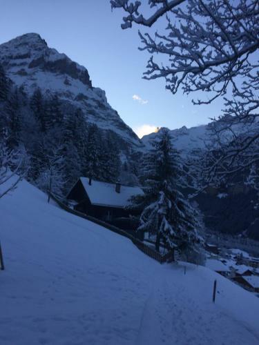 Apartamento Chalet Gr�negg