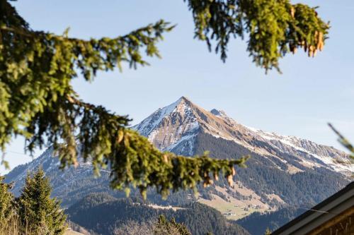 Apartamento La Petite Silene