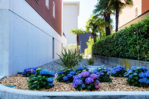 Apartamento Grey Studio 9 - Locarno Centro