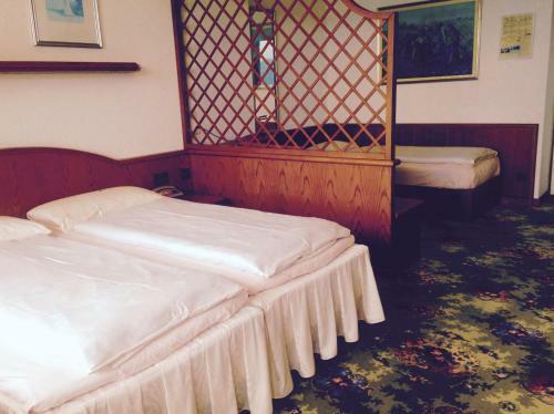Hotel Colibr�