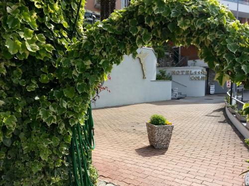 Hotel Colibr�