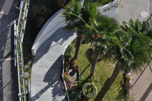 Hotel Colibr�