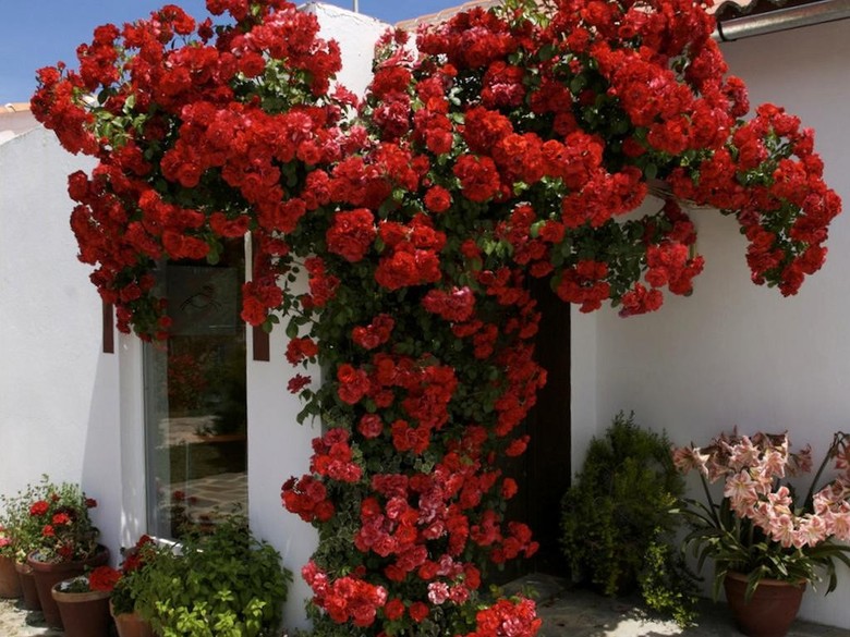 Lodge Holiday Home Candela Ronda
