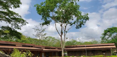 Hotel Lapas Volando