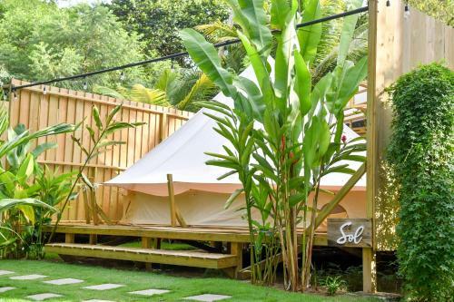 Seren Glamping
